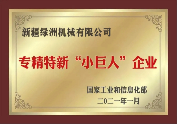 В 2021 году это будет «специализированное, особенное и новое» малое гигантское предприятие